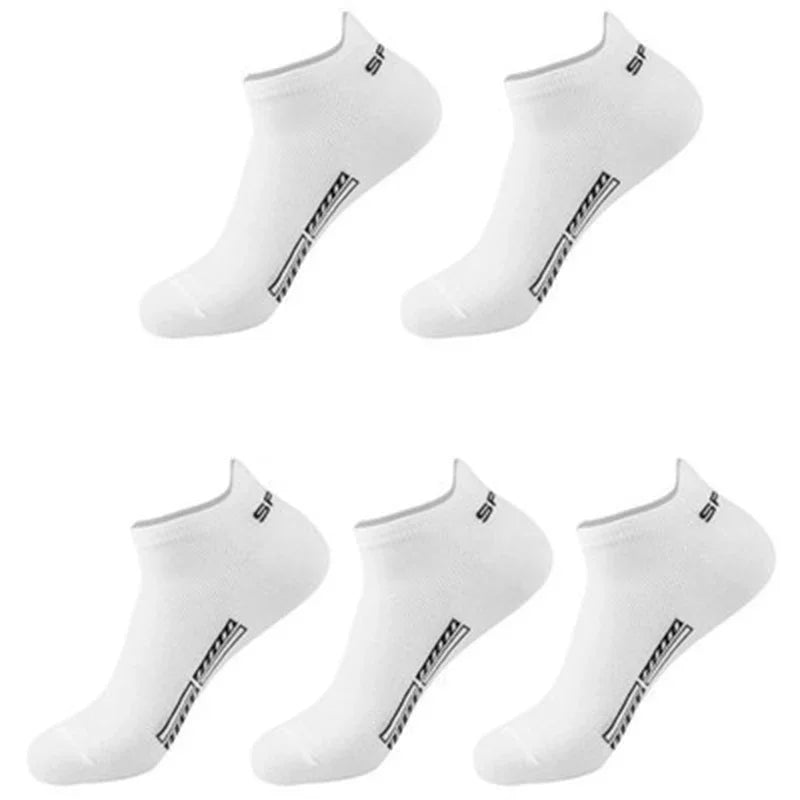 Sa5dd41881e224dacb384e99288151eac9