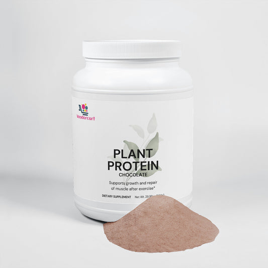 Plant Protein Chocolate 21g Protein, Muscle Recovery, Weight Management, And Digestive Support