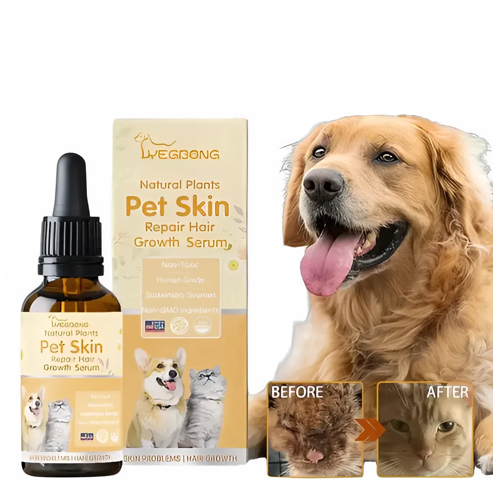 513f5eaf-8e6e-4976-8613-f819abc10a78