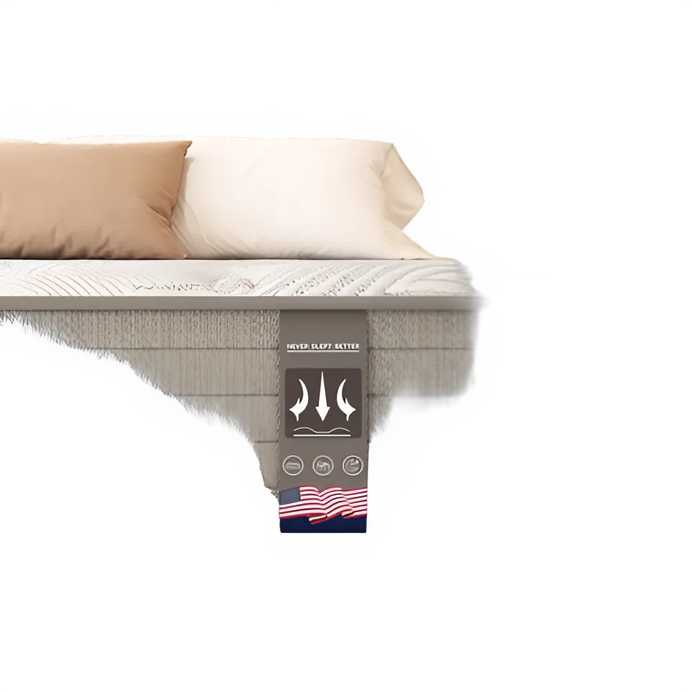 6c7597d5-81ff-40d6-a99f-d01e03de2a30