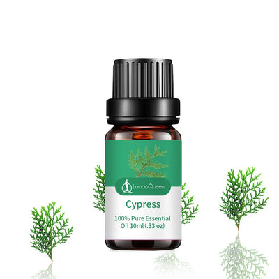 S019851ea107941f2a3680a0610ddaddci