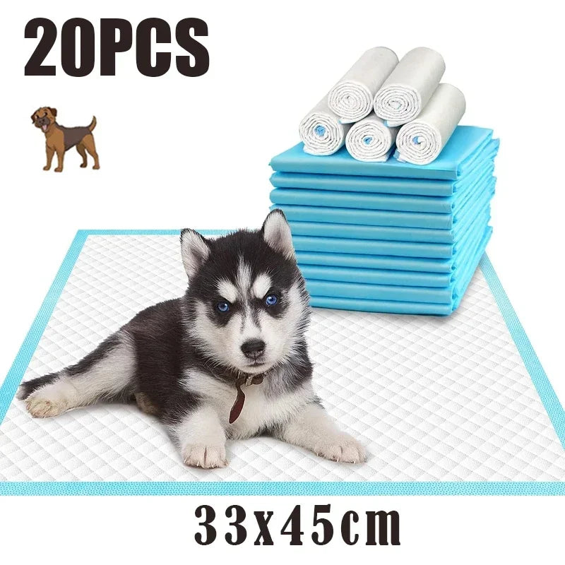 S04b50c6210f24cc9b441ef12a97d8283q