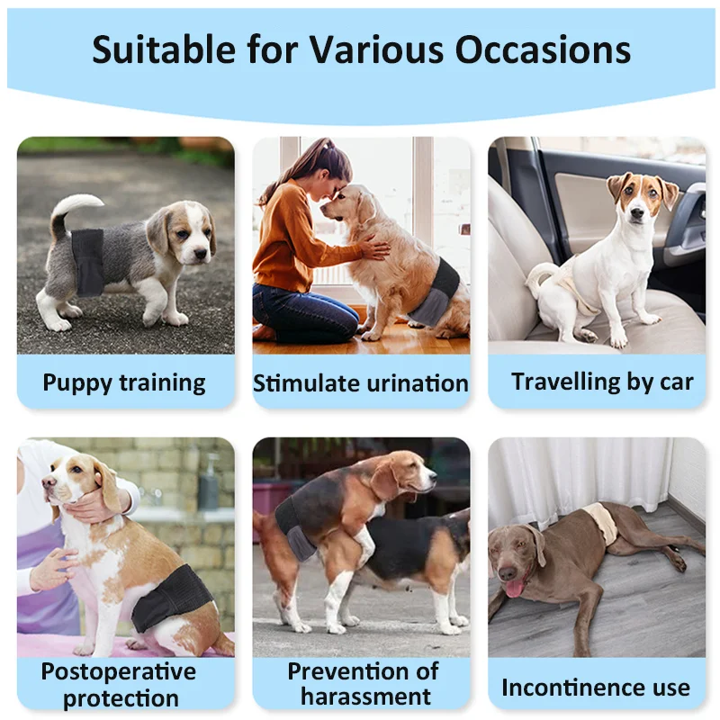 S3a78f2a3999148e2a4441608b7a13c5b4