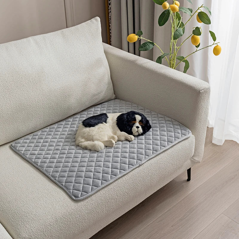 S51e2dd654be14eddab3bcb708302d9edk