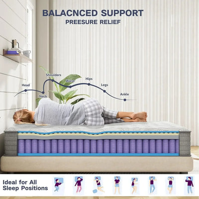 S52ea495c14314cb487beeb80f6bf22db6