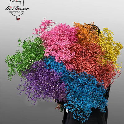S59fd1737138a4eae84e4fa18aaf8a10c1
