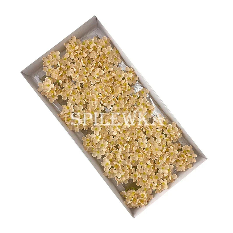 S6fe0c08cb47d41b7b1e1243bbf6f5defd