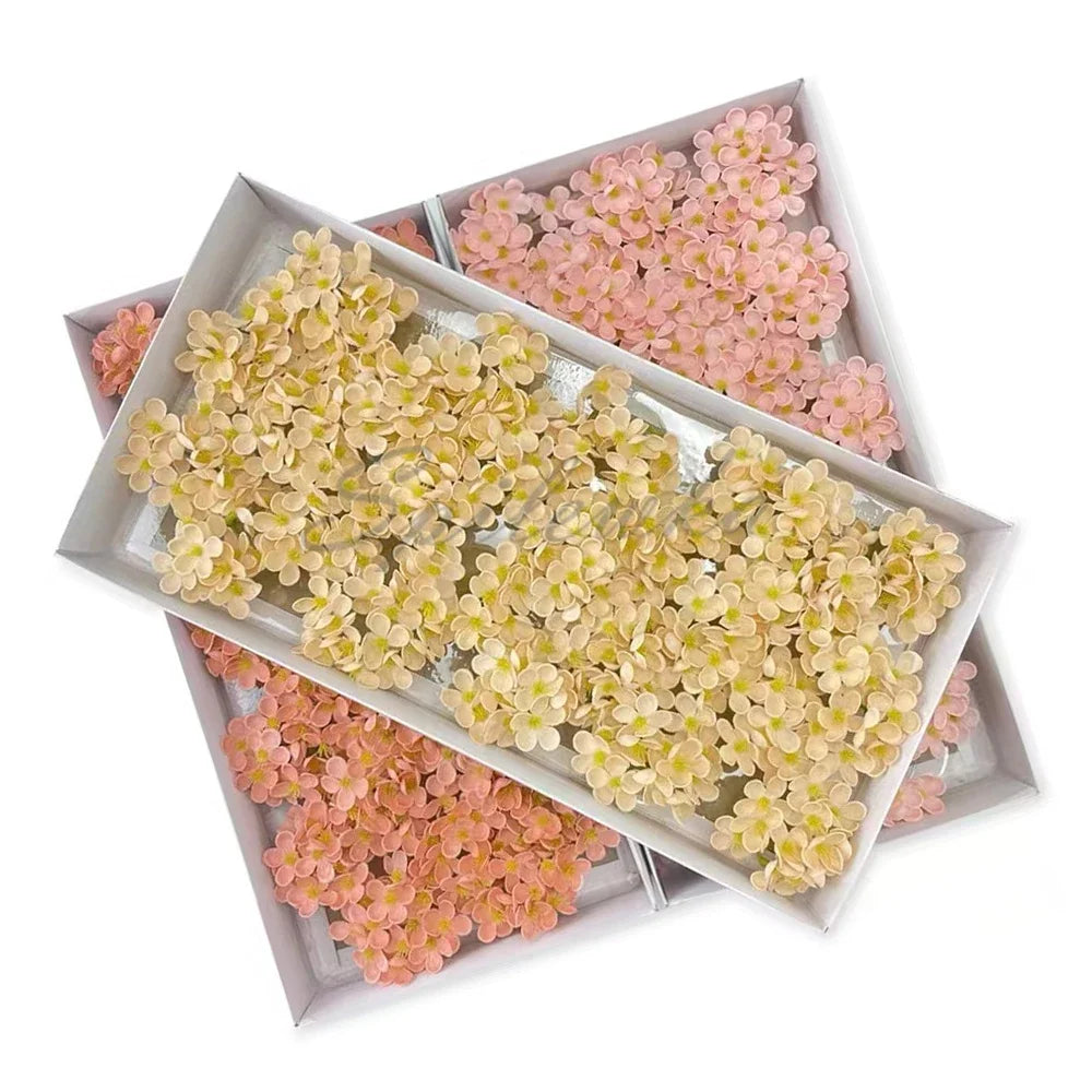 S933a527be6d3475c8cace880ecc7a65b3