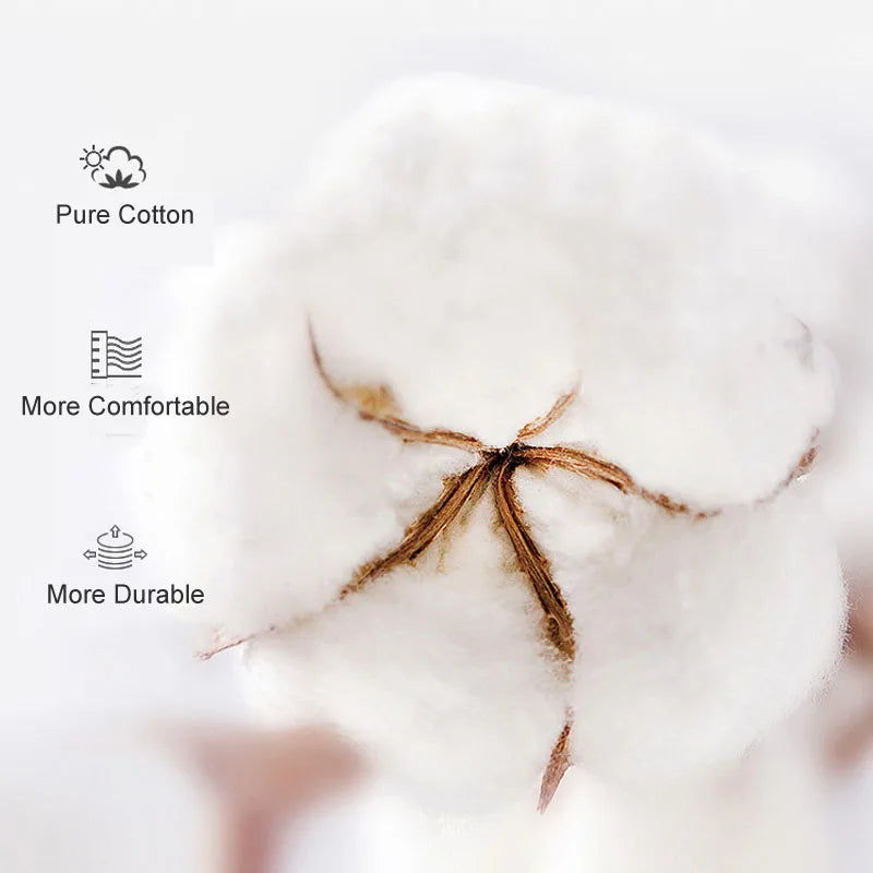 Se5d20c03477646d09954245fd657e7dfd