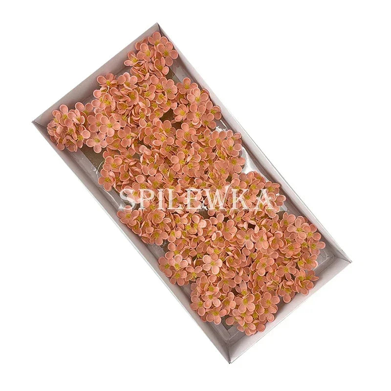 Se702d12925064dc790f2a90c158e6a483