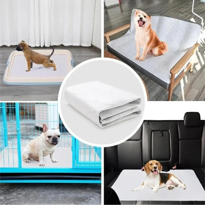 Se82e127a0e1a403ca322d8c9b08c25e1S