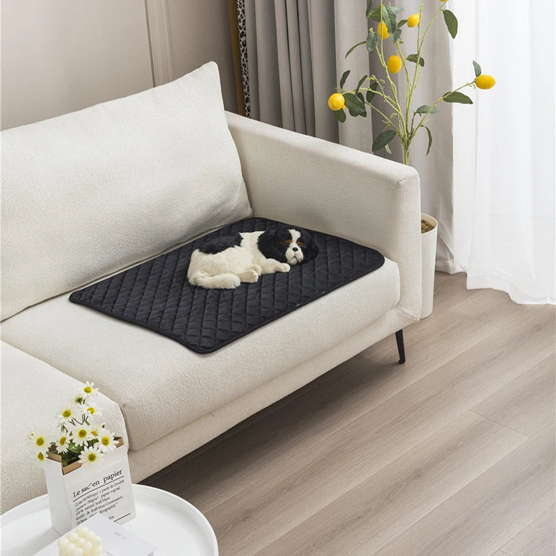 Secc08c96abbe410ab70da5fb7aae0c83B