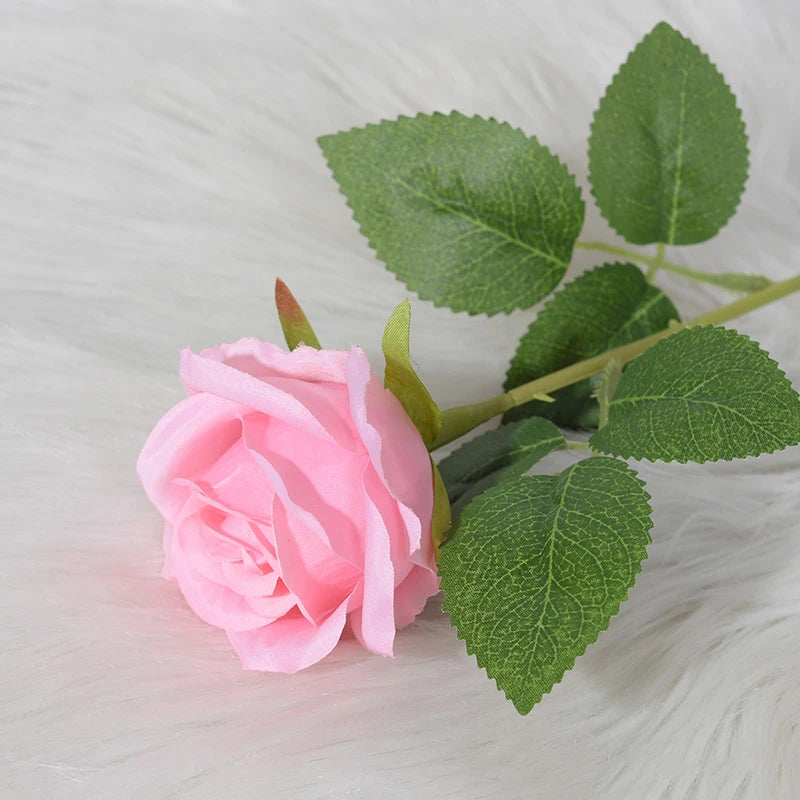 Sfb27062d021a4f6dbc135992c1ad1455J