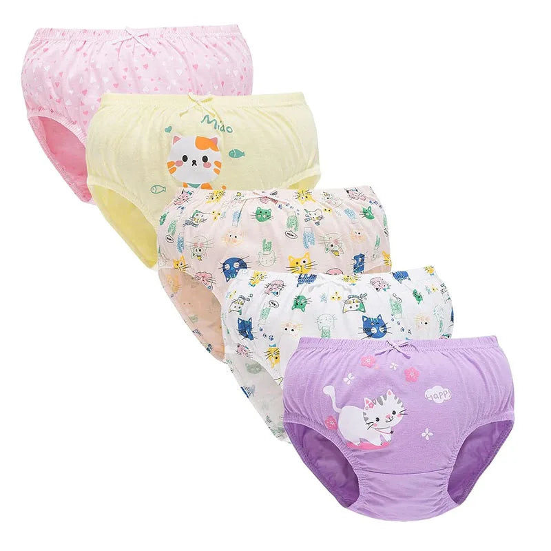 Sfdcd1a71ccad408eacd11cae62f16f02o