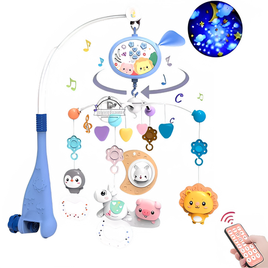 b8116b89-d83b-4f6c-bed7-8007fa2fd262