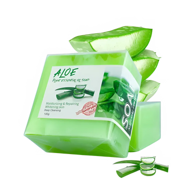 c8ae8a76-eb3e-4317-9aa6-2bbadf6d1cb2